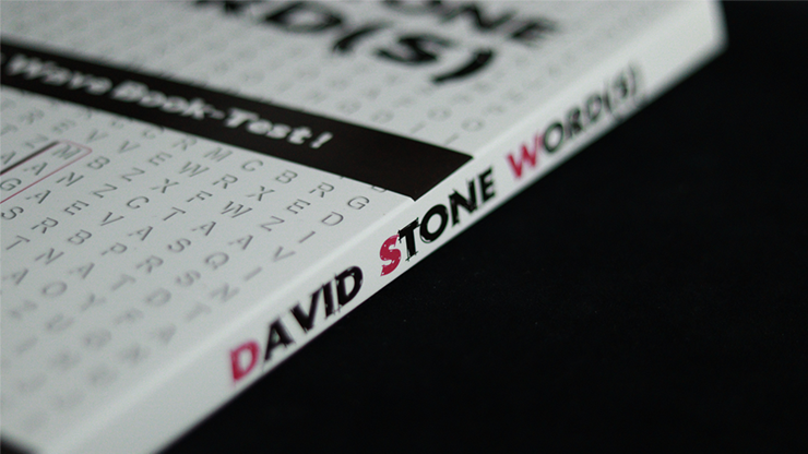 David Stone's Words (German Version)