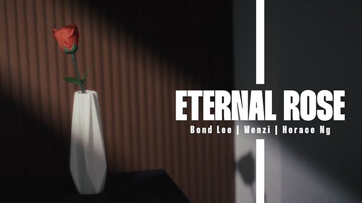 Eternal Rose by Bond Lee