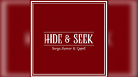 Hide and Seek Wallet (Brown) By Surya Kumar and Gopal