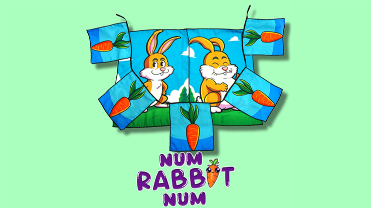 Num Rabbit Num by PlayTime Magic DEFMA