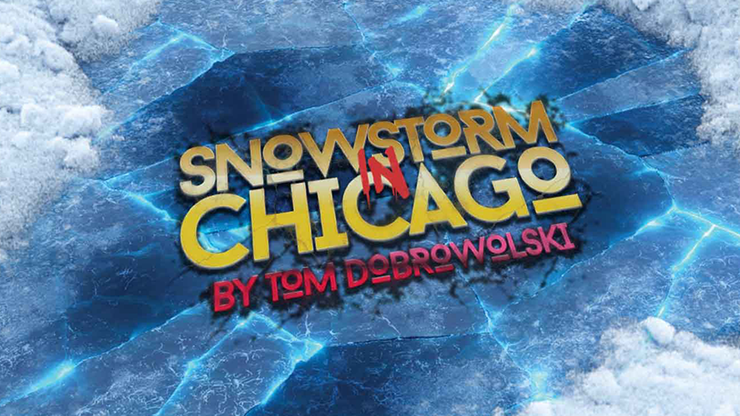 Bigblindmedia Presents Snowstorm In Chicago (Blue) by Tom Dobrowolski