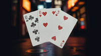 Biker Cats Playing Cards by Collectable Playing Cards