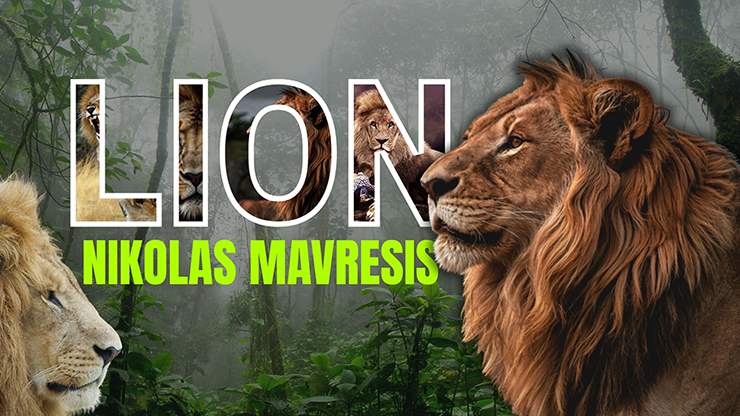 Lion by Nikolas Mavresis - Video Download