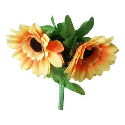 Amazing Split Sunflower by Premium Magic - Trick