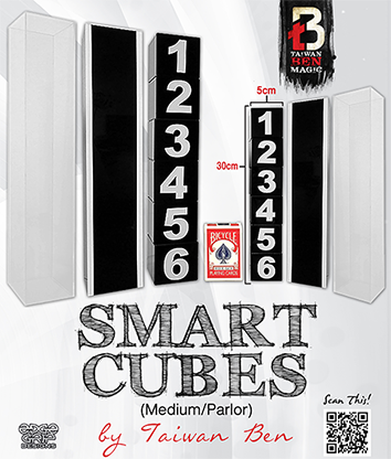 Smart Cubes (Medium / Parlor) by Taiwan Ben - Trick