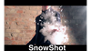 SnowShot (10 ct.) by Victor Voitko (Gimmick and Online Instructions) - Trick