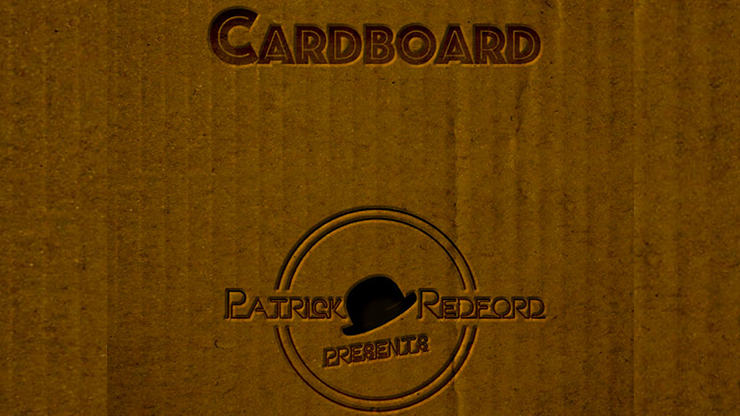 CARDBOARD The Book by Patrick G. Redford - Book